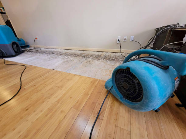 Professional Sewage Cleanup technician working in Heber, CA